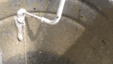 1.1.gif 1.1.gif